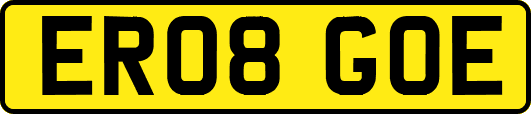 ER08GOE