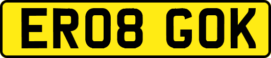 ER08GOK
