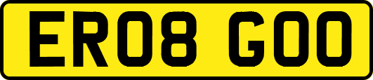 ER08GOO