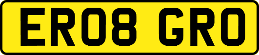 ER08GRO