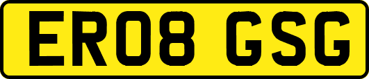 ER08GSG
