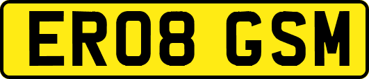 ER08GSM