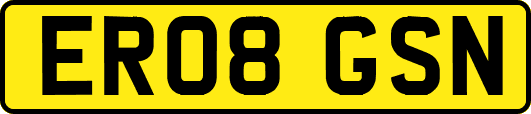 ER08GSN
