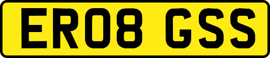 ER08GSS