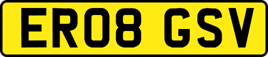 ER08GSV