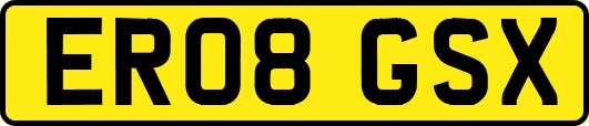 ER08GSX