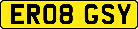 ER08GSY