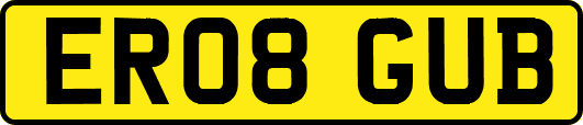ER08GUB