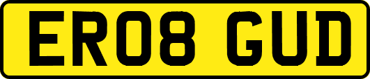 ER08GUD