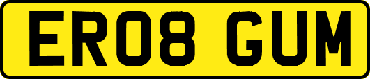 ER08GUM
