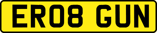ER08GUN