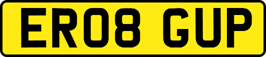 ER08GUP