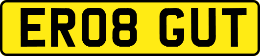 ER08GUT