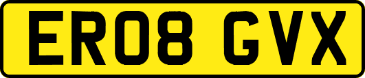 ER08GVX