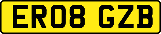 ER08GZB