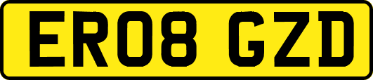 ER08GZD
