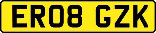 ER08GZK