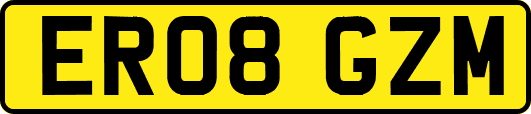 ER08GZM