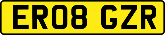 ER08GZR