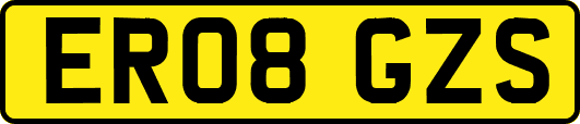 ER08GZS
