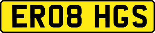 ER08HGS