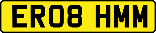 ER08HMM