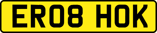ER08HOK