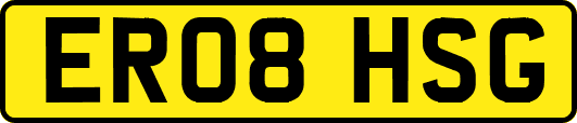 ER08HSG