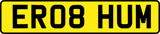 ER08HUM