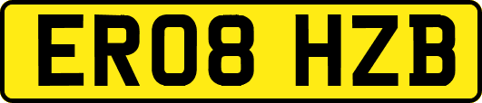 ER08HZB