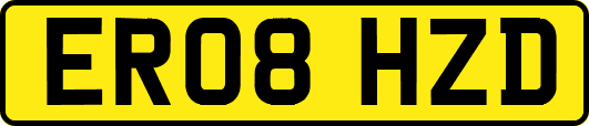 ER08HZD