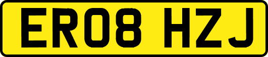 ER08HZJ