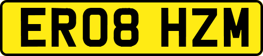 ER08HZM