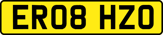 ER08HZO