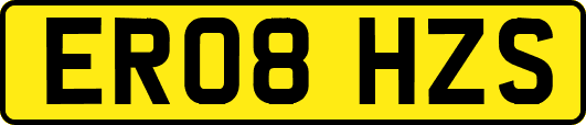 ER08HZS