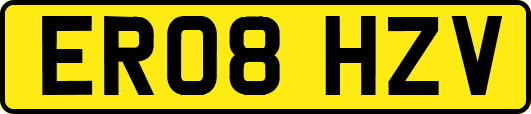ER08HZV