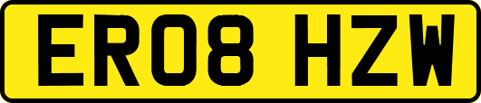 ER08HZW