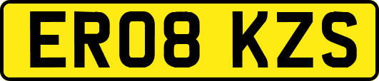 ER08KZS