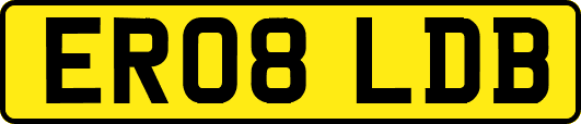 ER08LDB