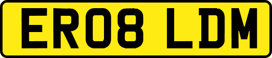 ER08LDM