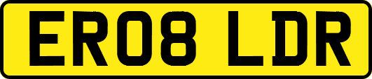 ER08LDR