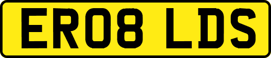 ER08LDS