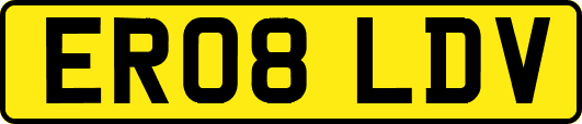 ER08LDV