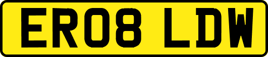 ER08LDW