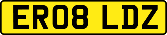 ER08LDZ