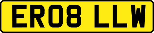 ER08LLW