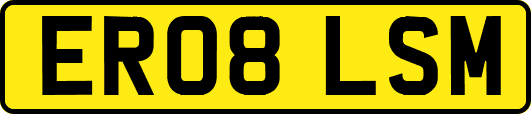 ER08LSM