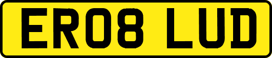 ER08LUD
