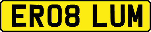 ER08LUM