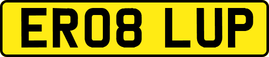 ER08LUP